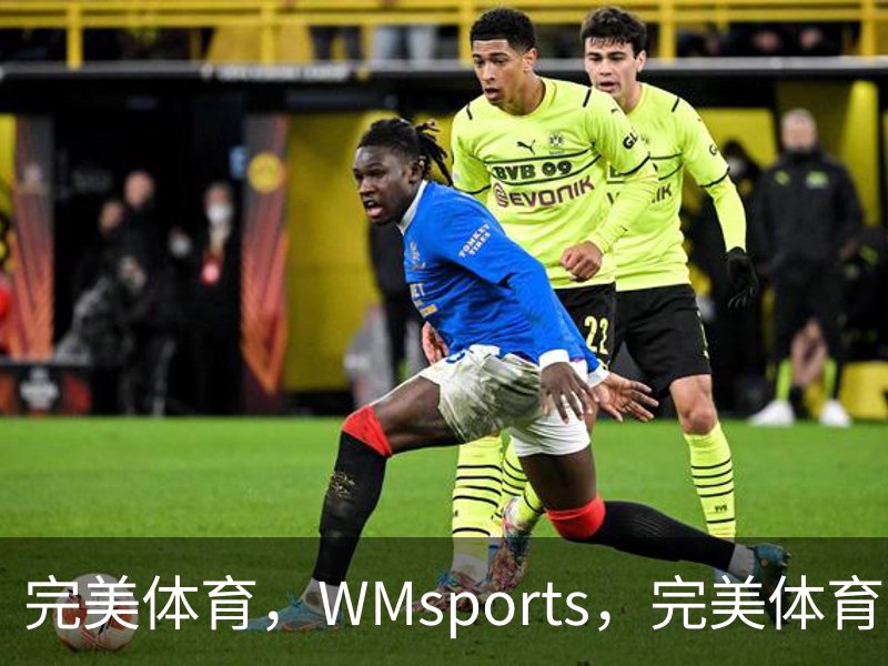 完美体育，WMsports，完美体育官方，完美体育平台，完美体育下载介绍