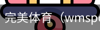 完美体育，WMsports，完美体育官方，完美体育平台，完美体育下载